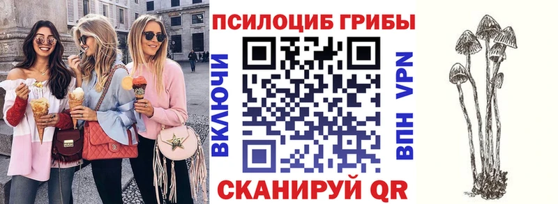нарко площадка формула Полярный Псилоцибиновые грибы GOLDEN TEACHER